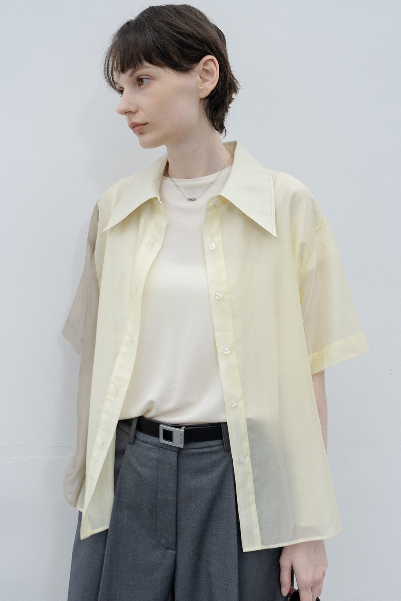 Bicolor switching sheer shirt