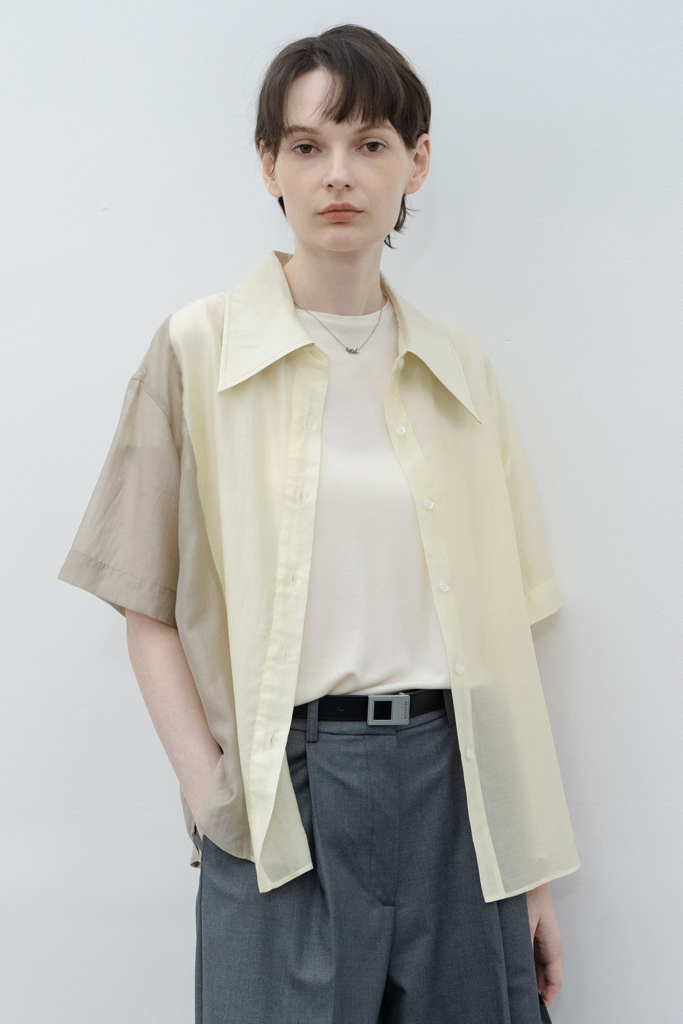 Bicolor switching sheer shirt